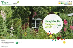 Digitale Gartensprechstunde "Saatgutvielfalt" 