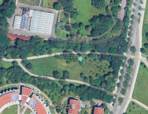 Baumschnitt - praktische Einweisung vom Spezialisten 