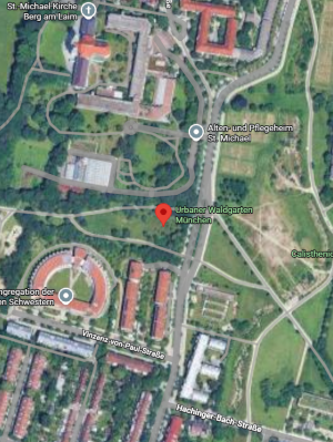 Infoabend und Führung durch den Waldgarten