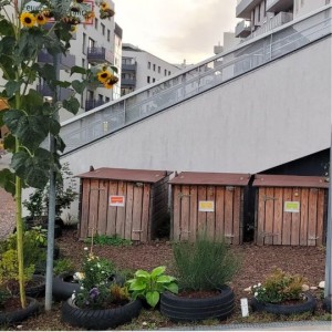 Urban Community Composting – Ein online Erfahrungsaustausch