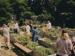 Urbane Gärten als Orte der Selbstermächtigung und der feministischen Solidarität