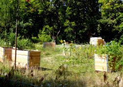 Gemeinschaftsgarten Gropiusstadt, Berlin-Neukölln