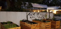 Urban Gardening Landau