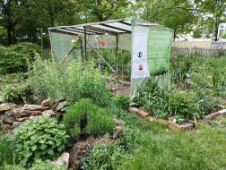 Garten für Alle, Regensburg