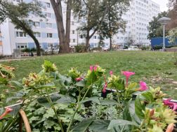 KIEZgarten, Berlin-Köpenick