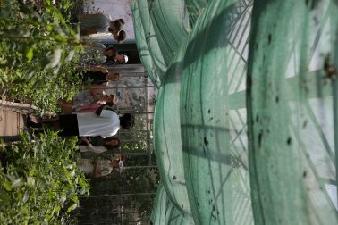 Zukunftskiez Dammweg 216, Berlin-Neukölln