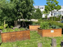 Wunschgarten, Frankfurt-Riedberg