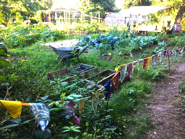ArtenGarten