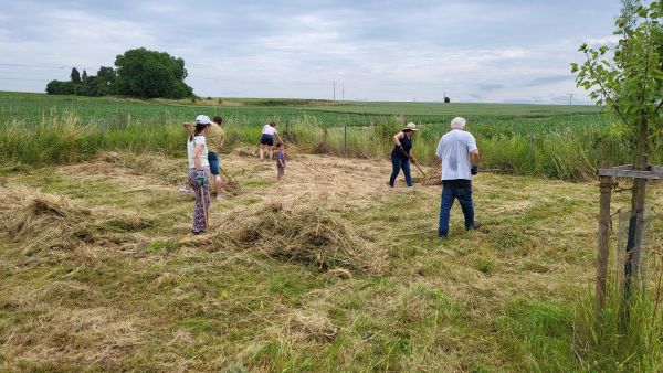 Friedberg Begegnungsgarten