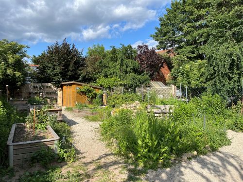 HerzoGarten im Sommer 2025 002