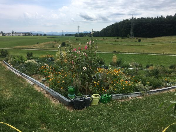 Holzkirchen Biogarten