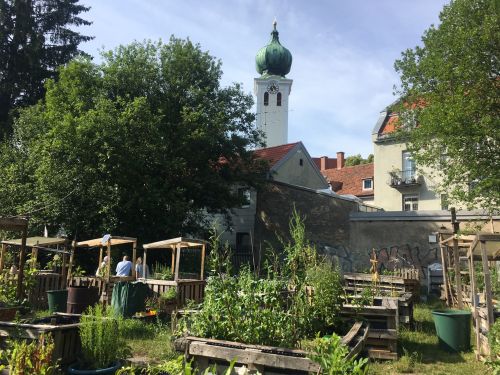 rosen heim Kirche