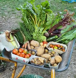 Klimagarten Dietenbachpark Freiburg