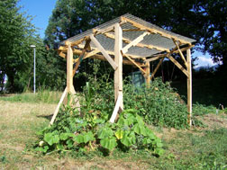 Gemeinschaftsgarten Freibohnen, Freiburg