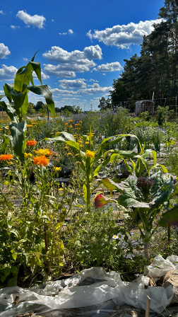 Gemeinschaftsgarten im Landschaftspark Rietzer Berg, Kloster Lehnin