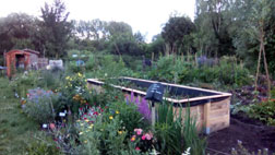 Interkultureller Garten Schrobenhausen