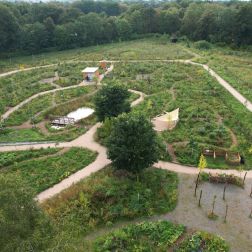 Waldgarten Berlin-Britz