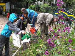 Gemeinschaftsgarten am Familienzentr. Mehringdamm, Berlin-Kreuzberg