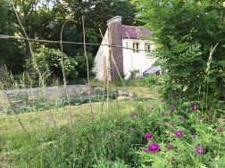 FFL Gemeinschaftsgarten, Harzgerode