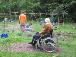 Siepengarten, Essen-Bergerhausen