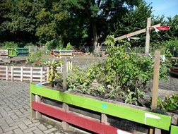 Interkultureller Nachbarschaftsgarten Im Beckedal, Bottrop