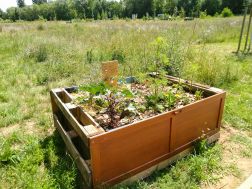 Gemeinschaftsgarten Sonnensprossen - Urban Gardening Landau