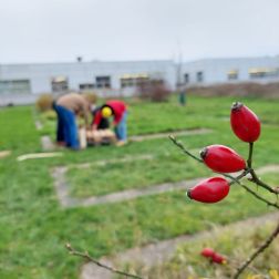 Essbarer Campus Mainz