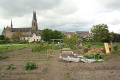 Bild des Gartens