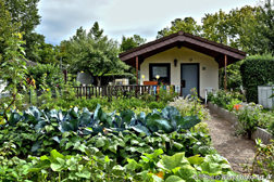 Interkultureller Frauengarten Dillingen