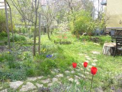 HenselsGarten, Dresden