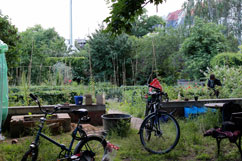 Querbeet Schulgarten Leipzig