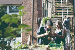 Permakulturgarten an der ALTEN MU, Kiel