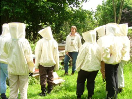 Einführung in die Bienenhaltung durch Petra Kaltenstein: Wichtig sind geeignete Schutzanzüge und langsame und ruhige Bewegungen, Foto: Shimeles Tassew