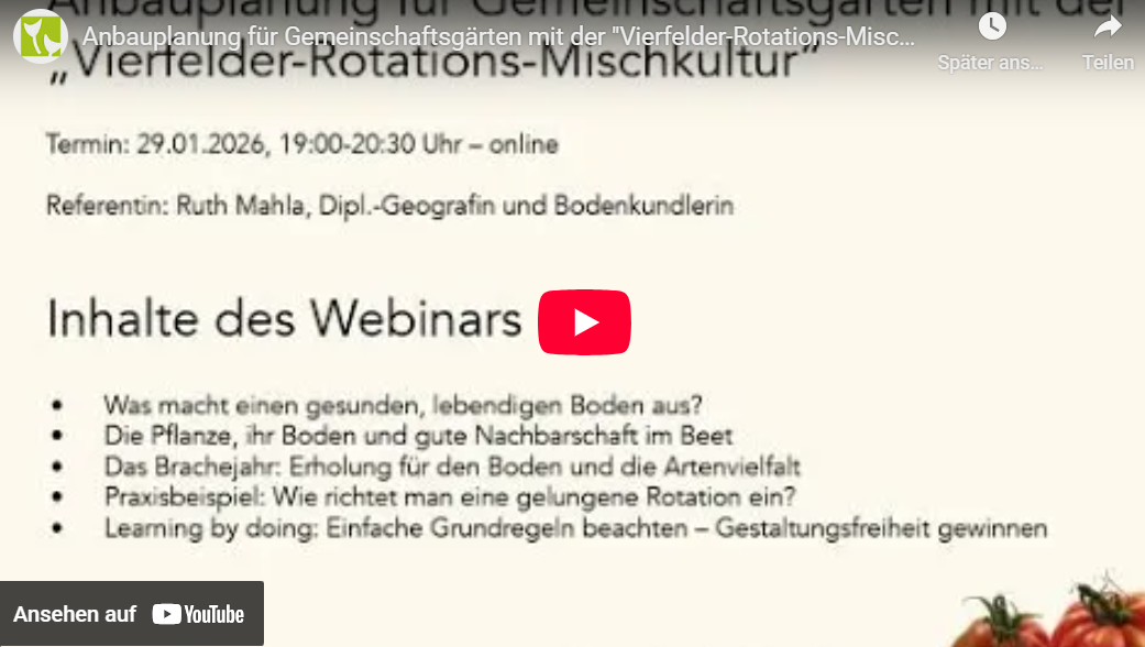 Virtueller Runder Tisch