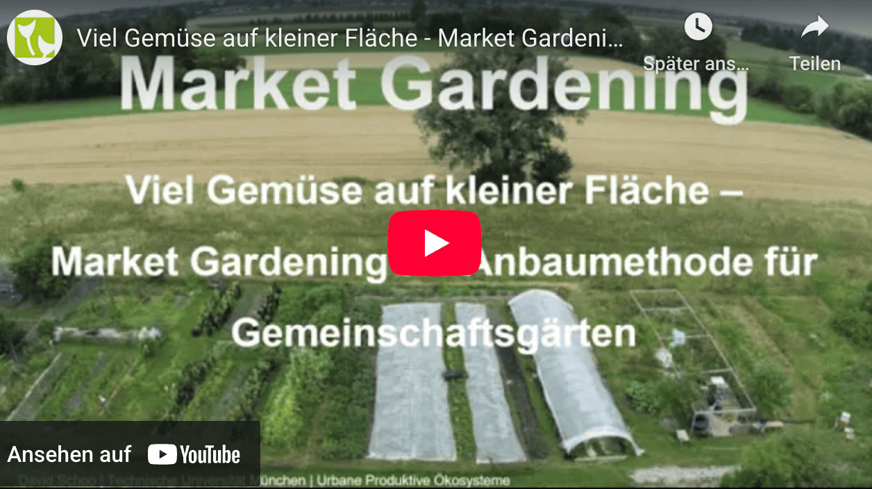 Virtueller Runder Tisch